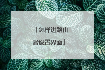 怎样进路由器设置界面