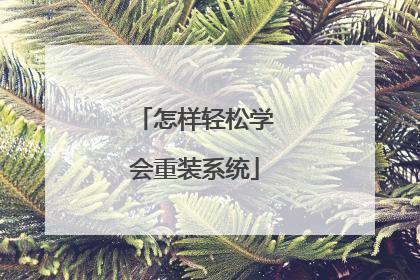 怎样轻松学会重装系统