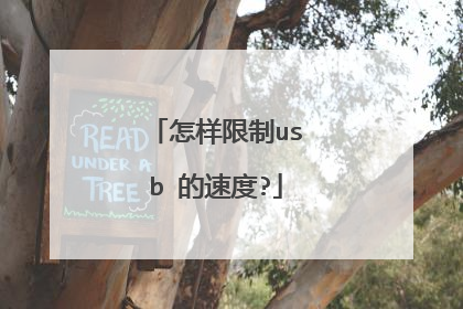 怎样限制usb 的速度?