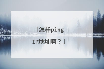 怎样ping IP地址啊?