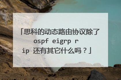 思科的动态路由协议除了ospf eigrp rip 还有其它什么吗？