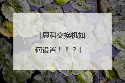 思科交换机如何设置！！？