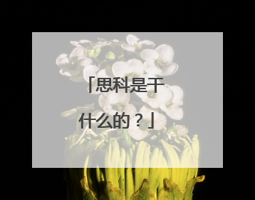 思科是干什么的?