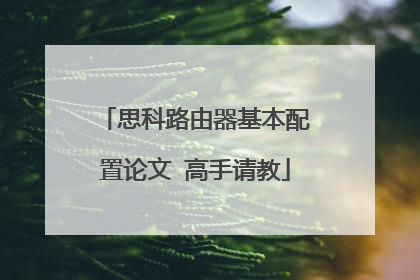 思科路由器基本配置论文 高手请教