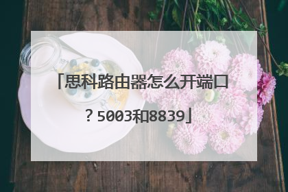 思科路由器怎么开端口?5003和8839