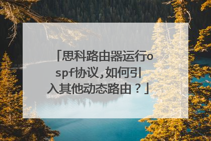 思科路由器运行ospf协议,如何引入其他动态路由？