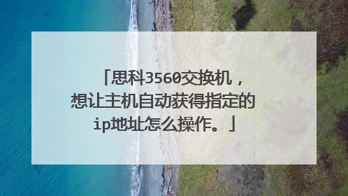 思科3560交换机，想让主机自动获得指定的ip地址怎么操作。