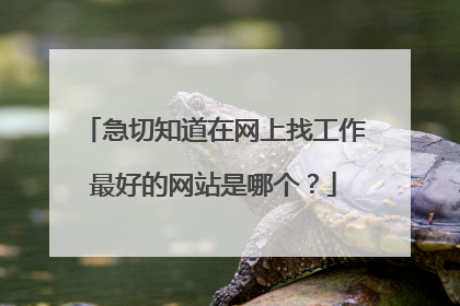 急切知道在网上找工作最好的网站是哪个？