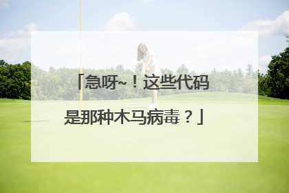 急呀~!这些代码是那种木马病毒?