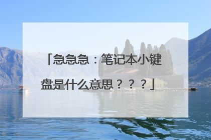急急急:笔记本小键盘是什么意思???