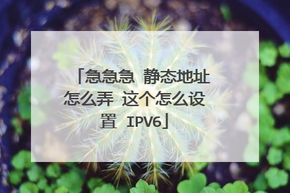 急急急 静态地址怎么弄 这个怎么设置 IPV6