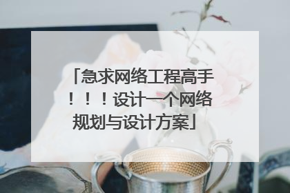 急求网络工程高手!!!设计一个网络规划与设计方案