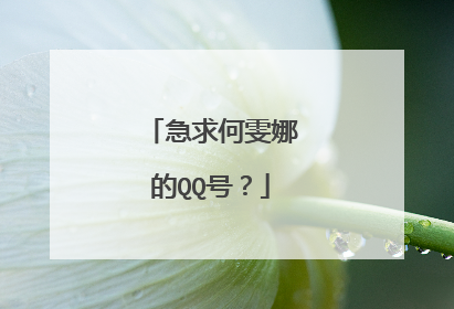 急求何雯娜的QQ号？