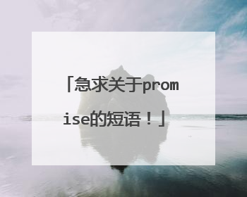急求关于promise的短语！