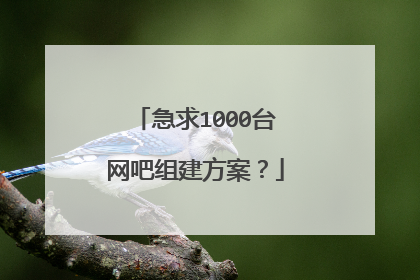 急求1000台网吧组建方案?