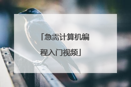 急需计算机编程入门视频