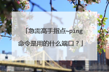 急需高手指点~ping命令是用的什么端口？