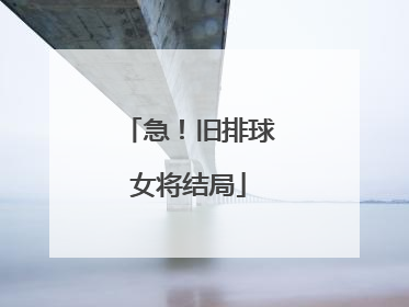 急!旧排球女将结局
