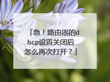 急!路由器的dhcp设置关闭后怎么再次打开?