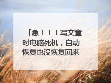 急!!!写文章时电脑死机,自动恢复也没恢复回来,怎么办?
