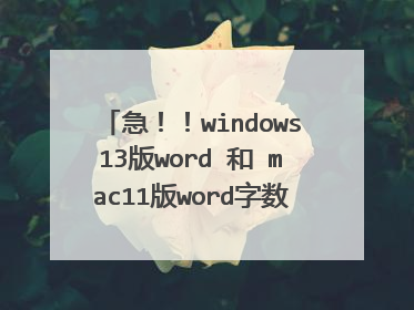 急!!windows13版word 和 mac11版word字数统计相差多少?