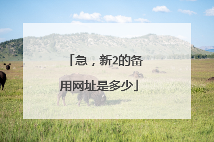 急，新2的备用网址是多少