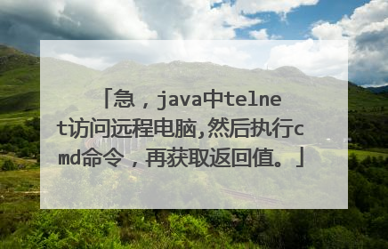 急，java中telnet访问远程电脑,然后执行cmd命令，再获取返回值。
