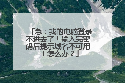 急：我的电脑登录不进去了！输入完密码后提示域名不可用！怎么办？