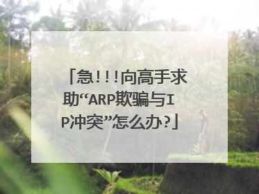 急!!!向高手求助“ARP欺骗与IP冲突”怎么办?