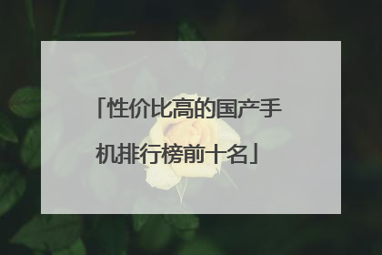 性价比高的国产手机排行榜前十名