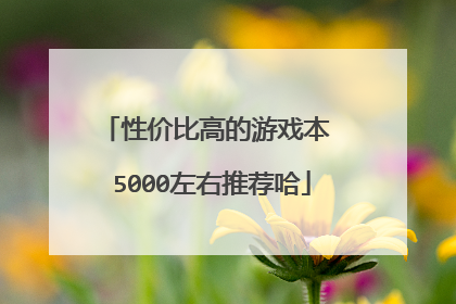 性价比高的游戏本 5000左右推荐哈