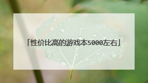 性价比高的游戏本5000左右
