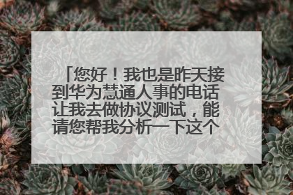 您好！我也是昨天接到华为慧通人事的电话让我去做协议测试，能请您帮我分析一下这个工作的发展前景吗？