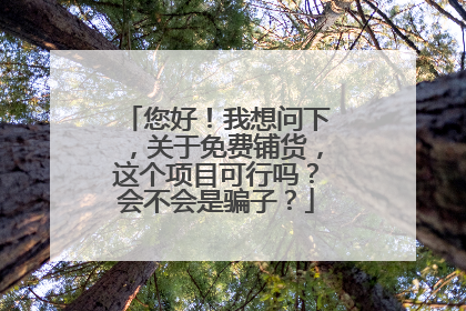 您好!我想问下,关于免费铺货,这个项目可行吗?会不会是骗子?
