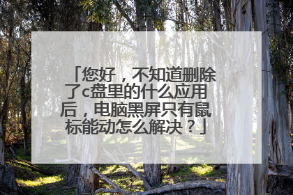 您好，不知道删除了c盘里的什么应用后，电脑黑屏只有鼠标能动怎么解决？