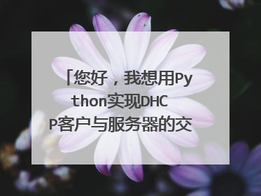 您好,我想用Python实现DHCP客户与服务器的交互,可否给我讲解一下代码?
