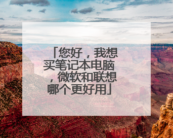 您好,我想买笔记本电脑,微软和联想哪个更好用
