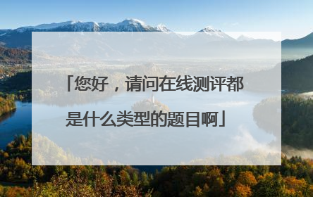 您好，请问在线测评都是什么类型的题目啊