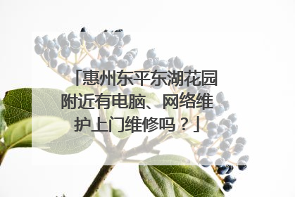 惠州东平东湖花园附近有电脑、网络维护上门维修吗？