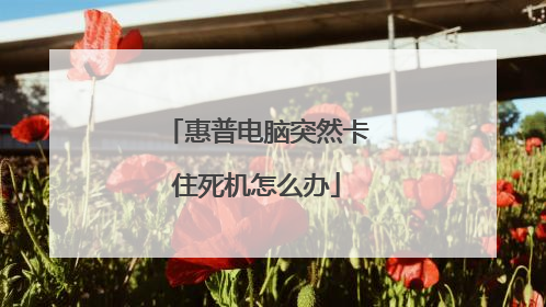 惠普电脑突然卡住死机怎么办