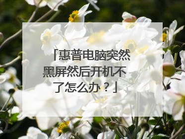 惠普电脑突然黑屏然后开机不了怎么办？