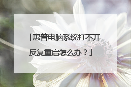 惠普电脑系统打不开反复重启怎么办?