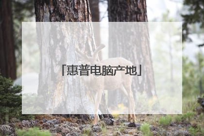 惠普电脑产地