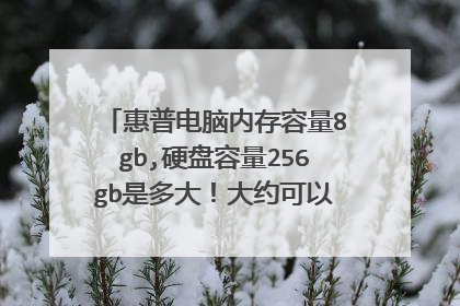 惠普电脑内存容量8gb,硬盘容量256gb是多大！大约可以下载多少东西