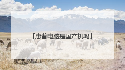 惠普电脑是国产机吗