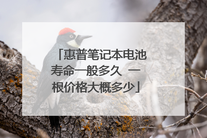 惠普笔记本电池寿命一般多久 一根价格大概多少