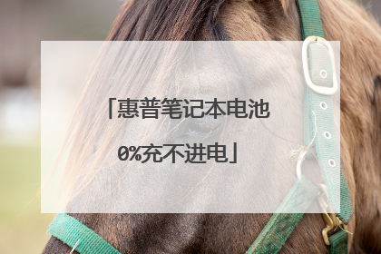 惠普笔记本电池0%充不进电