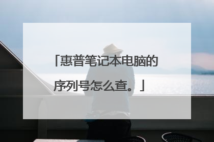 惠普笔记本电脑的序列号怎么查。