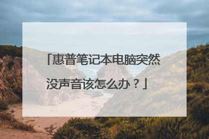惠普笔记本电脑突然没声音该怎么办?