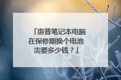 惠普笔记本电脑在保修期换个电池需要多少钱?